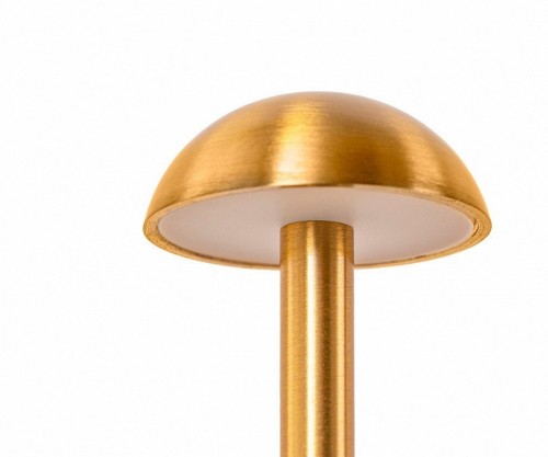 Интерьерная настольная лампа Kink Light Дамари 07208-T,20