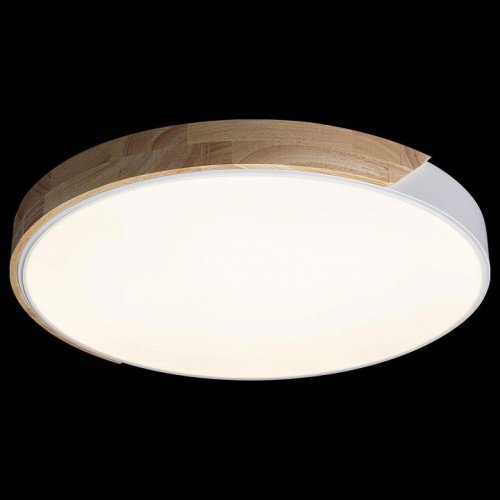 Потолочный светильник Loft IT Axel 10004/36 White