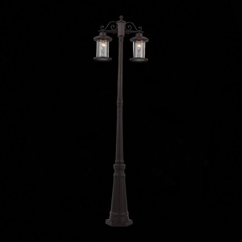 Садово-парковый светильник ST Luce Lastero SL080.425.02