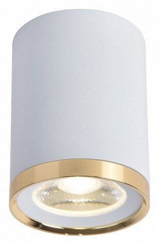 Потолочный светильник Favourite Prakash 3085-1C