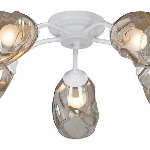 Потолочная люстра Vitaluce V4929-0/5PL