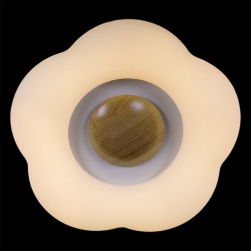 Потолочный светильник Reluce 01014-0.3-01 WOOD