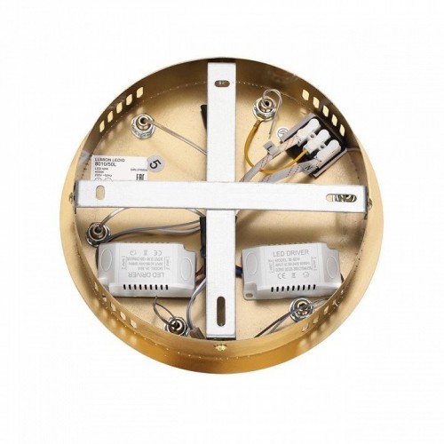 Подвесной светильник Lumion Twinkle 8010/50L