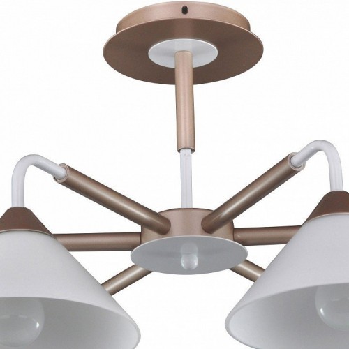 Потолочная люстра Arti Lampadari Ribera E 1.1.6 CW