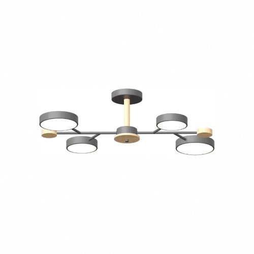 Потолочная люстра LED4U L3213-670 GR