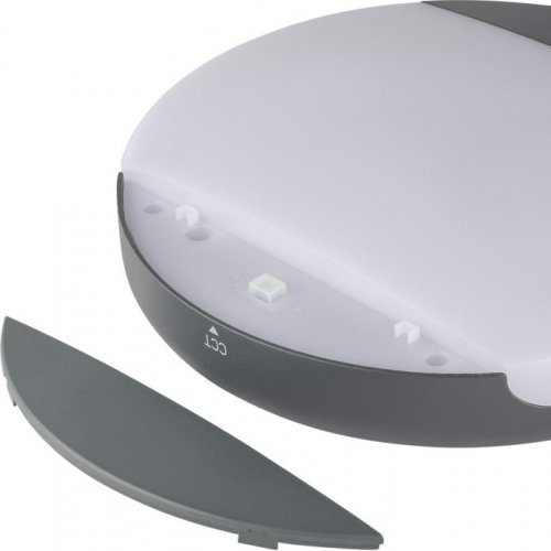 Потолочный светильник уличный Oasis Light SIDNEY LED W3034 Gr