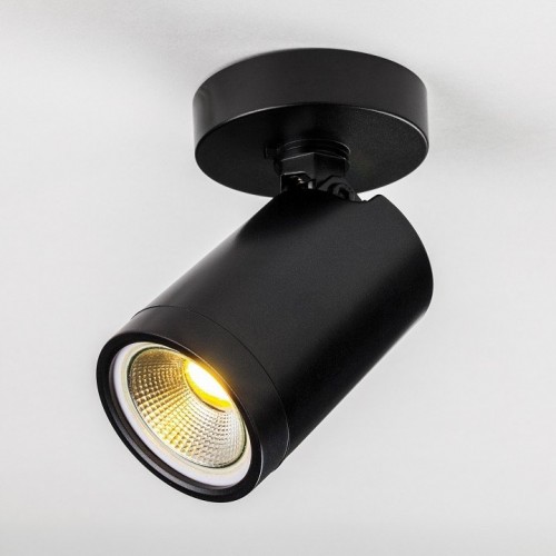 Точечный светильник Lightstar Rullo 213407