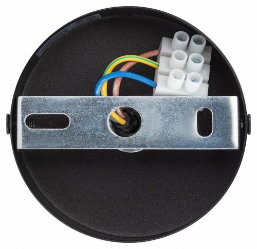 Подвесной светильник ЭРА PL12 GX53 BK/SL