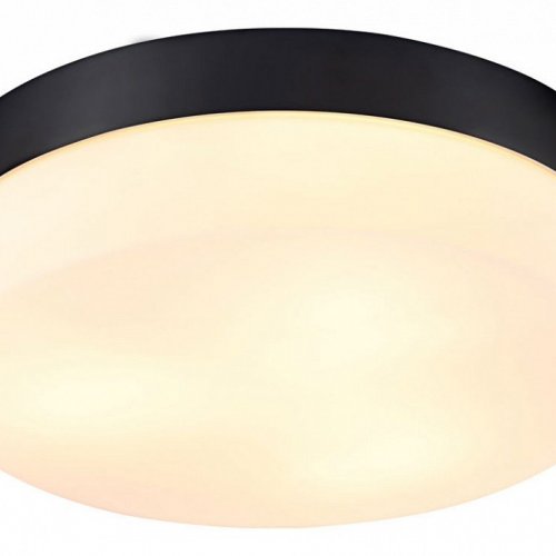 Потолочный светильник Arte Lamp Aqua-tablet A6047PL-3BK