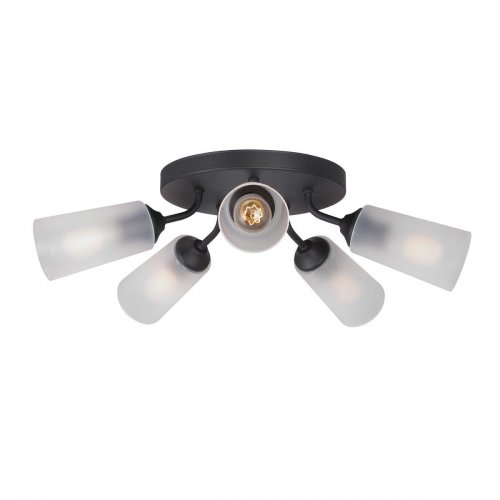 Потолочная люстра Vitaluce V3762-1/5PL