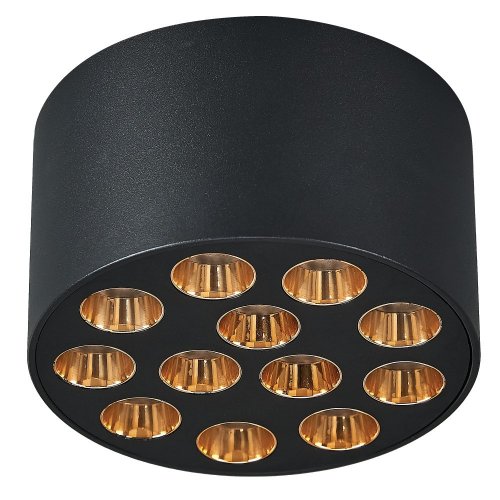Точечный светильник Lightstar Guarda 080942 Точечный светильник Lightstar Guarda 080942