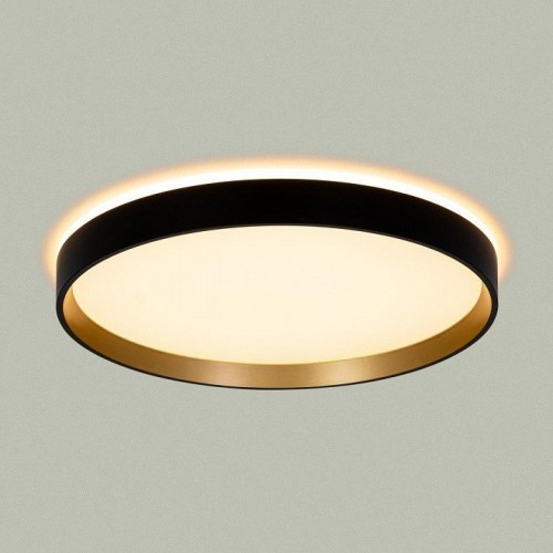 Накладной светильник Citilux ETALON CL750321R