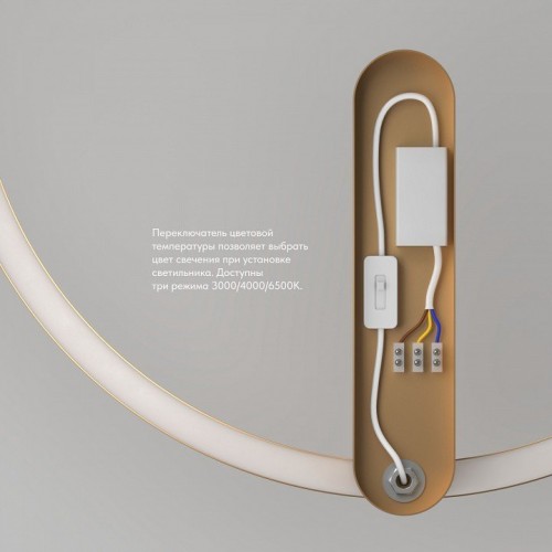 Настенный светильник Denkirs ROUND DK5035-SG