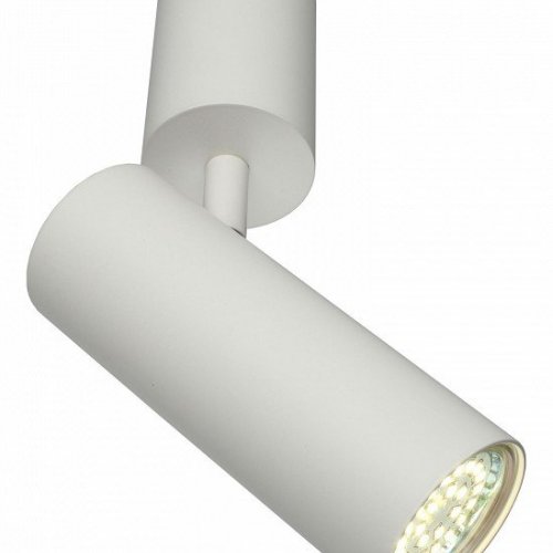 Спот Aployt Berenis APL.007.02.01