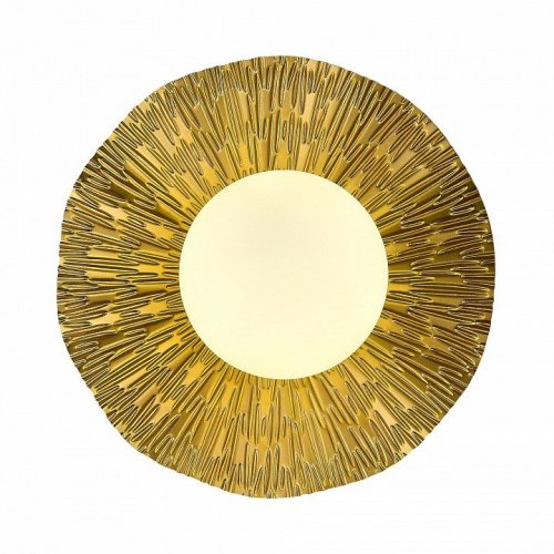 Потолочный светильник Evoluce SLE1196-301-01 Потолочный светильник Evoluce SLE1196-301-01