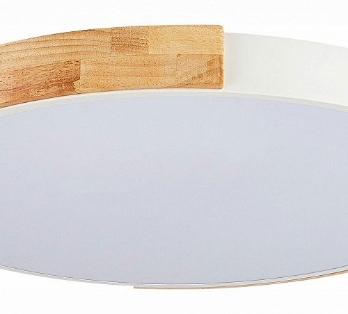 Потолочный светильник Evoluce Delia SLE201352-01