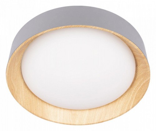 Потолочный светильник Loft IT Coin 10202 Grey