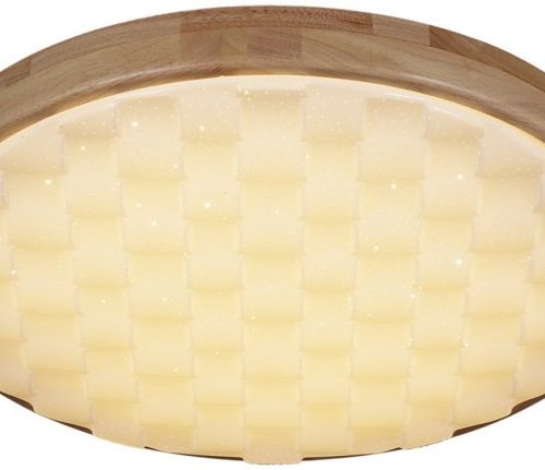 Потолочный светильник Reluce 60530-0.2-60W