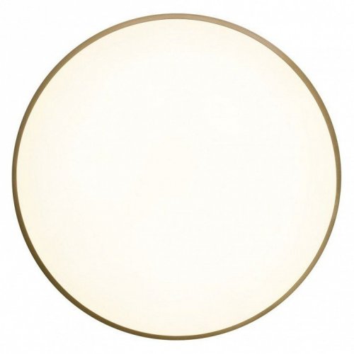 Потолочный светильник Zortes Gabby ZRS.90610.50