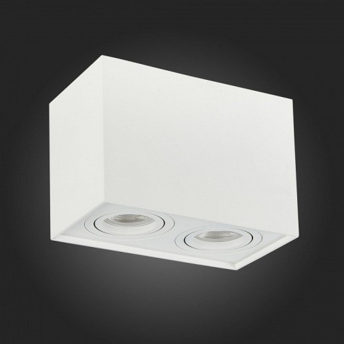 Потолочный светильник ST Luce ST109.507.02 Потолочный светильник ST Luce ST109.507.02