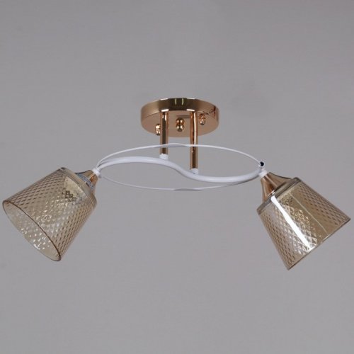 Потолочная люстра Reluce 06003-0.3-02 FG+WT Потолочная люстра Reluce 06003-0.3-02 FG+WT