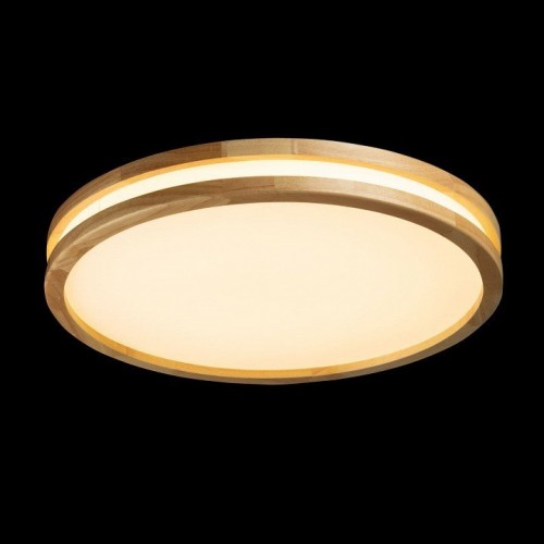 Потолочный светильник De City Норден 660015401