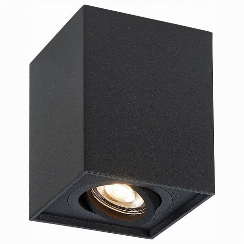 Потолочный светильник ST Luce ST109.407.01 Потолочный светильник ST Luce ST109.407.01