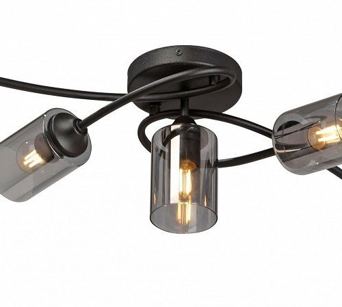 Люстра Vitaluce V2048-1/5PL Люстра Vitaluce V2048-1/5PL