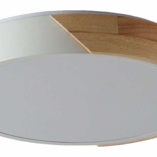 Потолочный светильник Zortes Alberro ZRS.01239.90