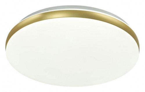 Настенно-потолочный светодиодный светильник Sonex Ringo 7626/CL Настенно-потолочный светодиодный светильник Sonex Ringo 7626/CL