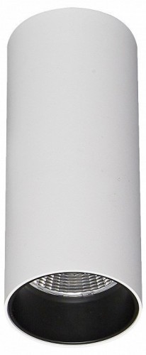 Светильник потолочный ST Luce ST170.532.07