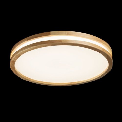 Потолочный светильник De City Норден 660015401