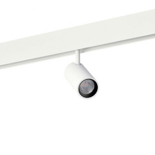 Трековый светильник Alpha DL20295NW10WBBND
