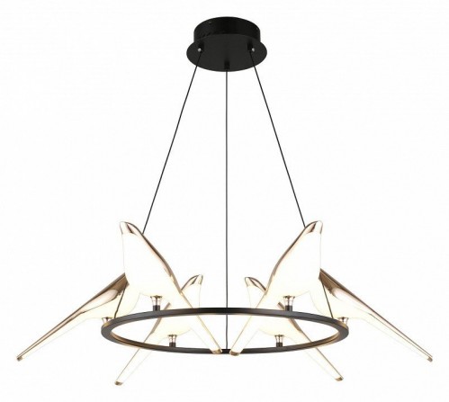 Подвесная люстра Aployt Astor APL.822.03.60