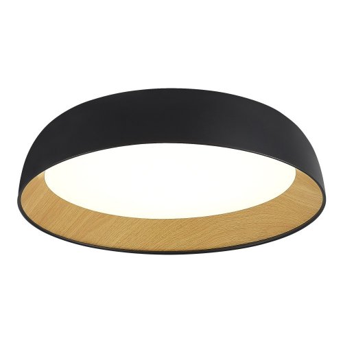 Потолочный светильник Muse SLE1812-402-01 Потолочный светильник Muse SLE1812-402-01