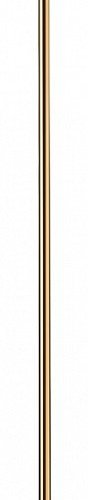 Подвесной светодиодный светильник Loft IT Reed 10358/830 Disk AB