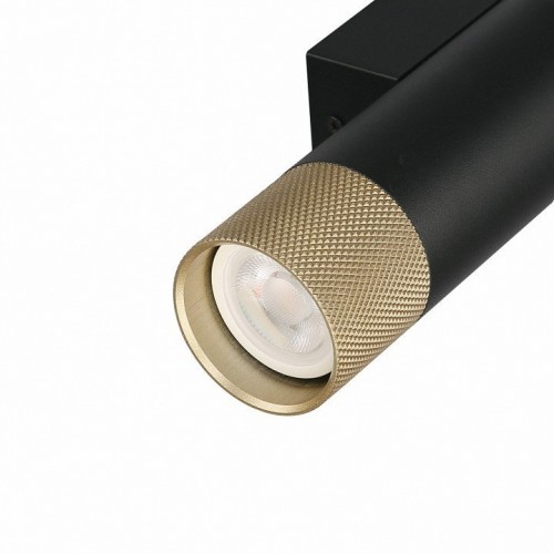 Настенный светильник iLedex Delta 2365-2 BK+BR