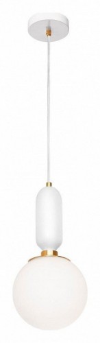 Подвесной светильник Loft IT Parachilna 9975-A