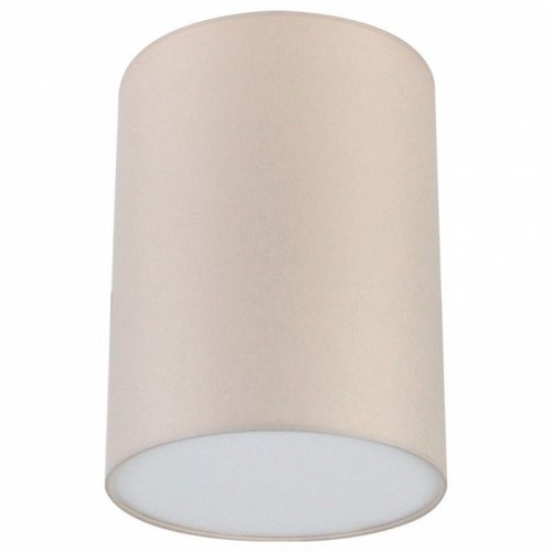 Потолочный светильник Lighthall Camerona 30 LH022019