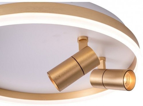 Потолочный светильник Zortes Raizy ZRS.1888.02