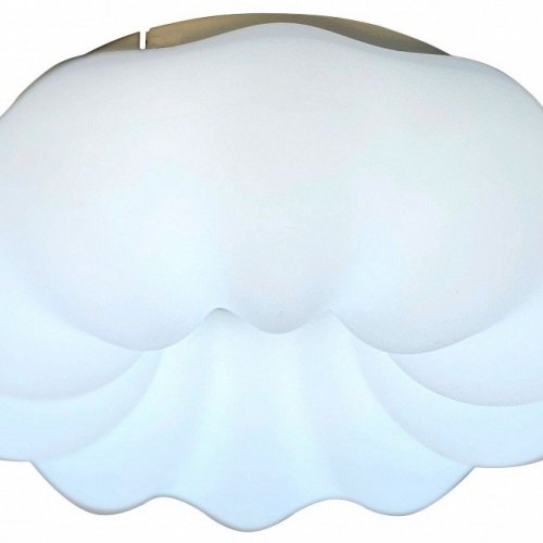 Потолочный светильник Zortes Soft ZRS.1118.2