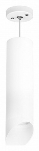 Подвесной светильник Lightstar Rullo RP649686