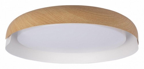 Потолочный светильник Loft IT Coin 10198 White