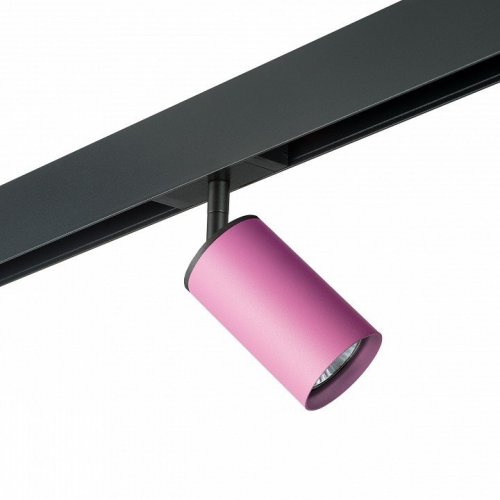 Светильник на штанге Lightstar Rullo PRO432 Светильник на штанге Lightstar Rullo PRO432