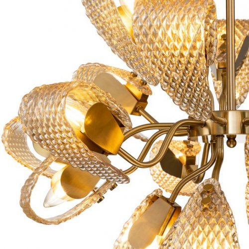 Потолочная люстра Indigo Fless V000345 Потолочная люстра Indigo Fless V000345