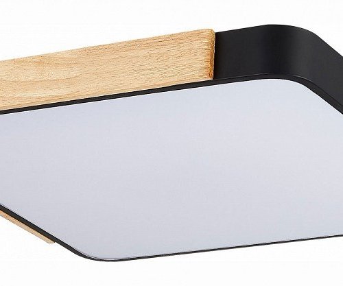 Потолочный светильник Evoluce Festa SLE201242-01