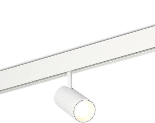 Трековый светильник Donolux Alpha DL20604WW10W