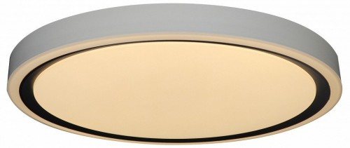 Потолочный светильник Zortes Bella ZRS.1201.04