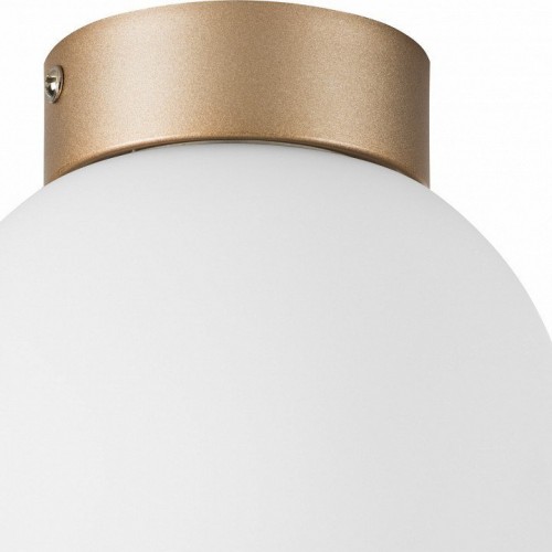 Настенно-потолочный светильник Lightstar Globo 812013