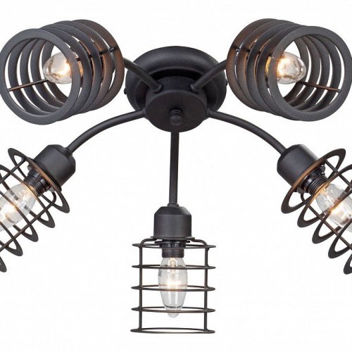 Потолочная люстра Vitaluce V4916-1/5PL